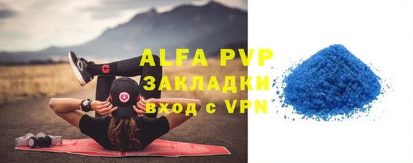 гидра Богородицк