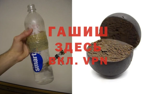 гидра Богородицк