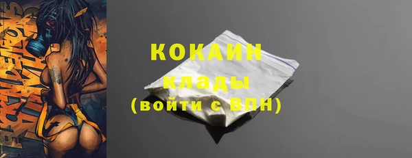 гидра Богородицк