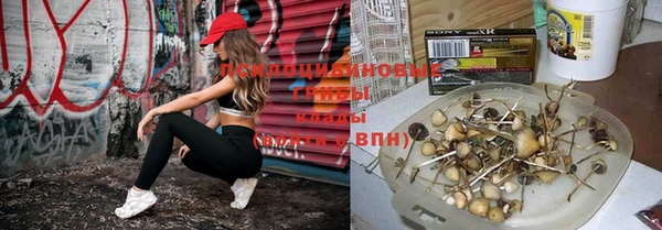 кокаин колумбия Белокуриха