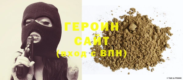 гидра Богородицк