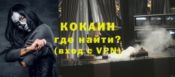 гидра Богородицк
