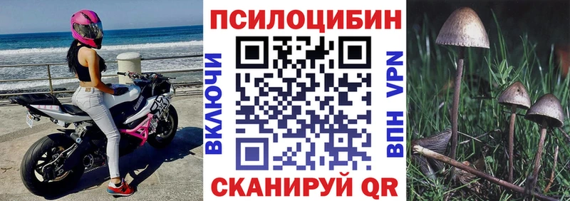 Псилоцибиновые грибы ЛСД  продажа наркотиков  Валуйки 