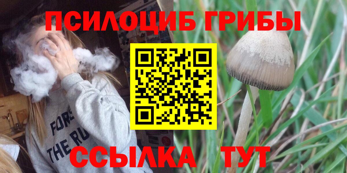 Валуйки  Псилоцибиновые грибы мухоморы  Вход с VPN 